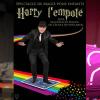 Visuel go harry l empote 1