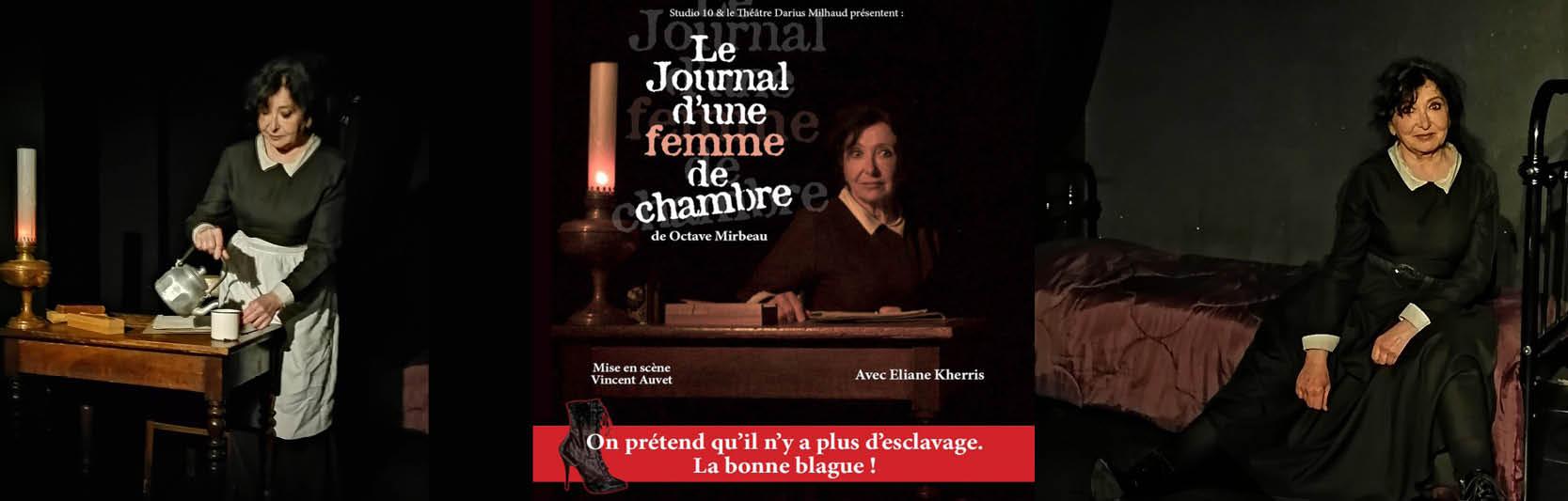 Visuel go le journal d une femme de chambre